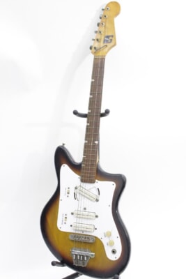 GUYATONE/グヤトーン  エレキギター ビザールの買取り品の画像